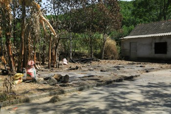 Hàng chục nhà chứa rơm bị kẻ xấu thiêu rụi tại xã Sơn Tiến (huyện Hương Sơn).
