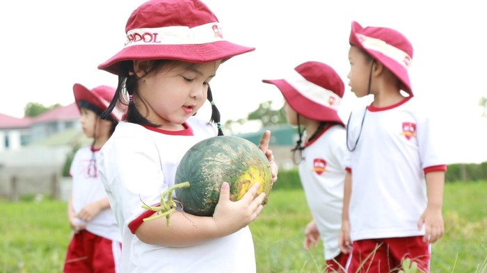 Các em học sinh mầm non Trường Hội nhập quốc tế iSchool Hà Tĩnh trải nghiệm tại cánh đồng dưa của người dân xã Đồng Môn.