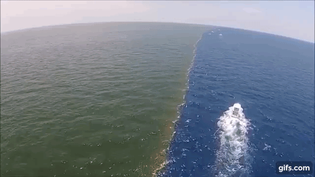 Hiện tượng kỳ lạ: Vùng biển chết chia thành hai màu như trong phim thần thoại 