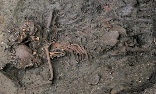 Bộ xương của một tù binh trẻ được chôn trong ngôi mộ tập thể tìm thấy ở Đại học Durham. 