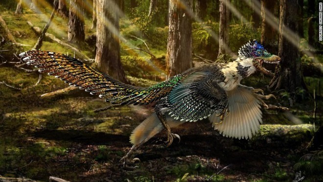 Hình ảnh phục dựng của loài khủng long Zhenyuanlong. (Nguồn: CCTV)
