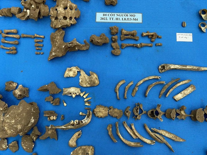 Một số hiện vật khai quật tại hang Thẩm Tâu. Ảnh: BQL di tích tỉnh Điện Biên.