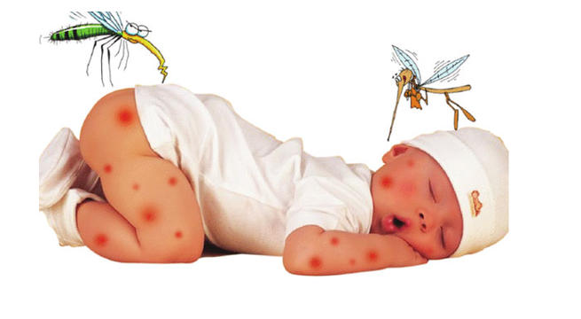 Trẻ nhỏ sốt xuất huyết có nguy hiểm?