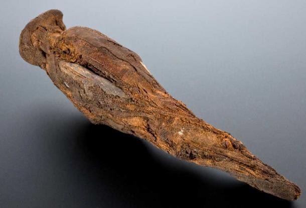 Phát hiện 15 xác ướp chim ưng không đầu trong ngôi đền Ai Cập cổ đại - Ảnh 3.