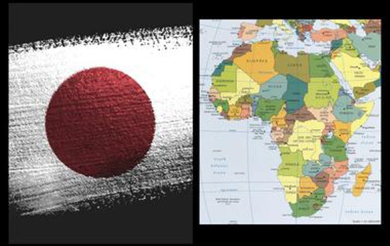 Nhật Bản: Thu hút người học đến từ châu Phi