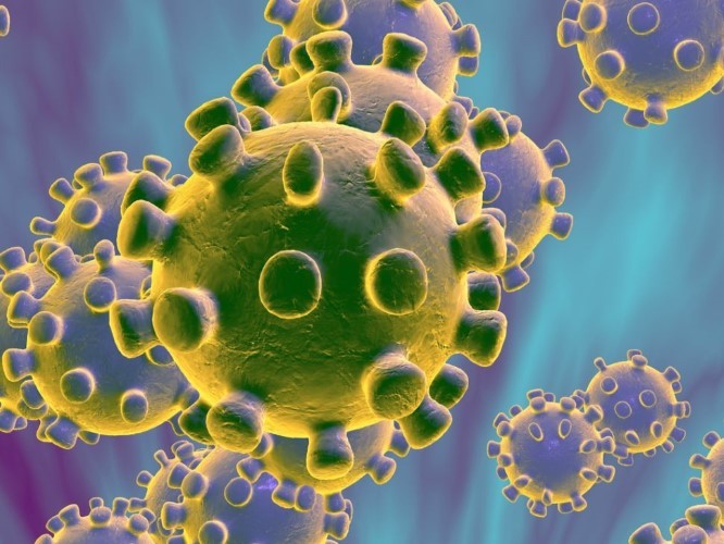 44 người mắc virus  hô hấp lạ ở Trung Quốc