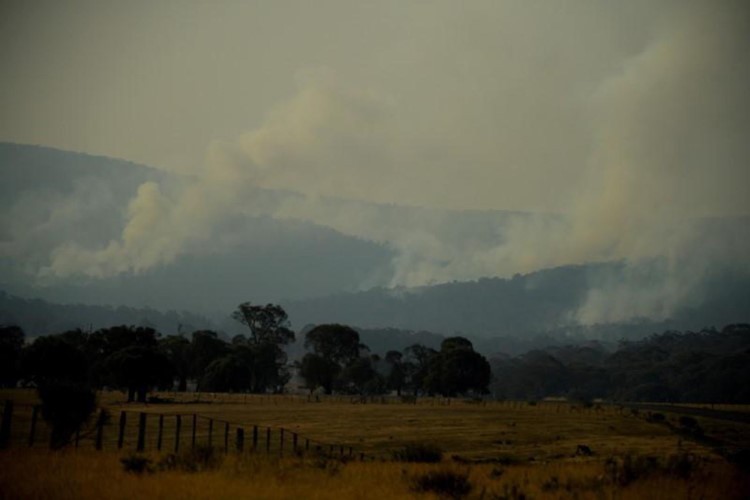 Thảm họa cháy rừng ở Australia: Ảnh hưởng nghiêm trọng cả lịch sử và cuộc sống hiện tại