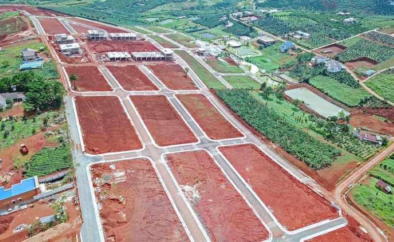 Một đồi chè tại TP Bảo Lộc, tỉnh Lâm Đồng bị cạo trọc.