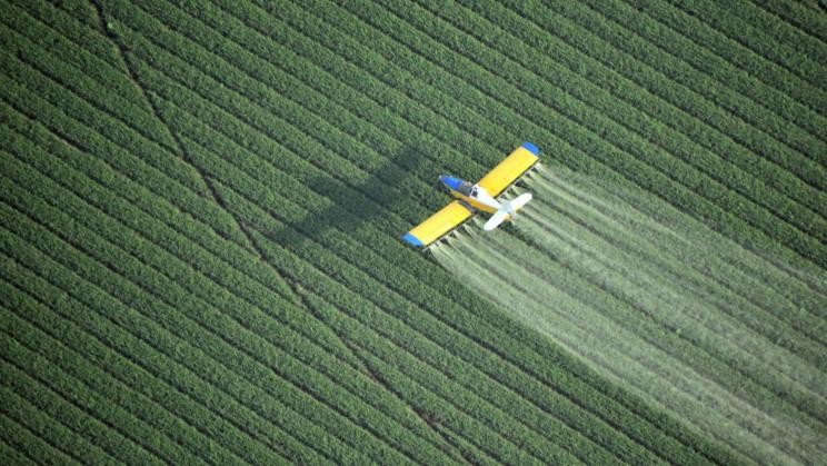 Nhiều sản phẩm nông nghiệp chứa dư lượng thuốc trừ sâu độc hại.