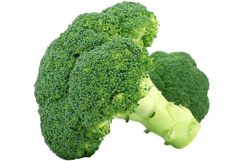 Tiêu thụ rau xanh và chlorophyllin có thể hữu ích cho việc phục hồi bệnh viêm đường ruột.