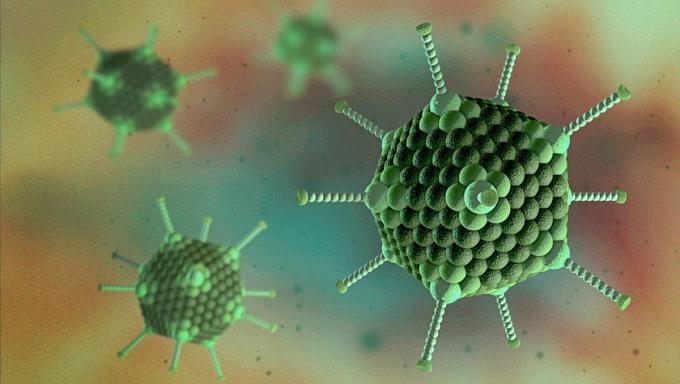 Adenovirus lây truyền qua đường giọt bắn, đường hô hấp.