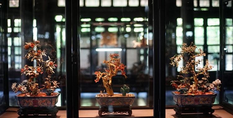 Ba chậu cành vàng lá ngọc trưng bày ở Bảo tàng Cổ vật Cung đình Huế.