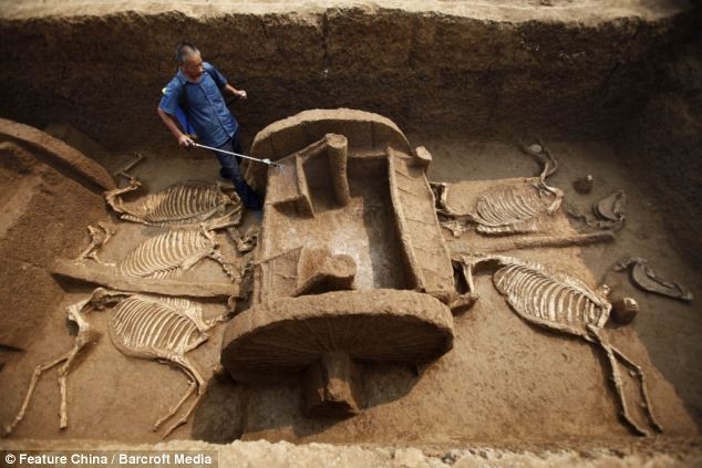 Trung Quốc: Phát hiện bộ xe và ngựa trong ngôi mộ 3.000 tuổi