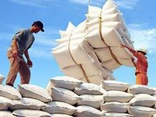 Xuất khẩu đạt hơn 400 nghìn tấn gạo trong tháng 1