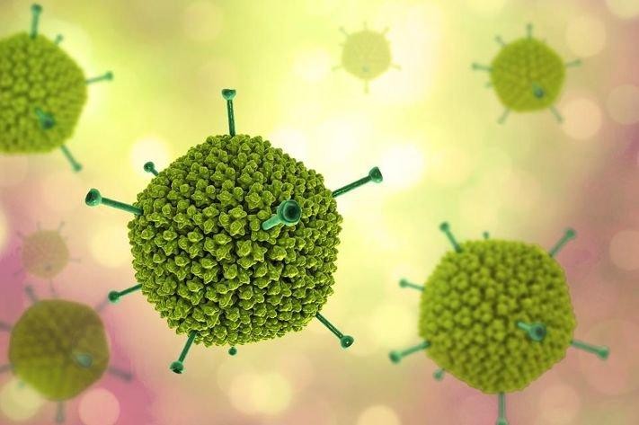 Có hơn 50 adenovirus khác nhau được xác định.