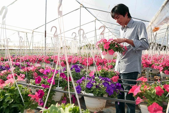 Anh Nguyễn Anh Duy chăm sóc vườn hoa treo. Ảnh: Khánh Phúc