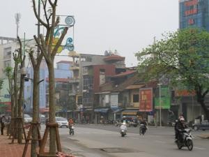 Tuyến phố Kim Mã (Ba Đình) trở nên xa lạ khi thiếu bóng cây xanh.