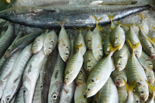 Nên chọn mua hải sản ở những cửa hàng có uy tín để tránh mua phải hải sản bị ướp hóa chất.