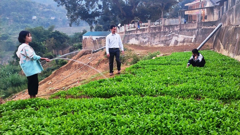 Thầy Nguyễn Duy Thủy – Hiệu trưởng Trường PTDTBT THCS Trung Lý hướng dẫn học sinh cách chăm bón rau xanh.