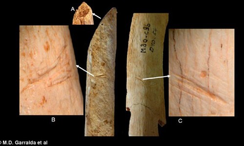 Bằng chứng mới nghi người Neanderthal ăn thịt đồng loại