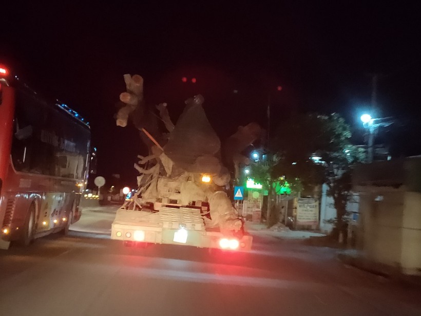 CSGT Hà Tĩnh chặn đứng xe chở cây khủng như "quái thú" băng băng trên QL1A