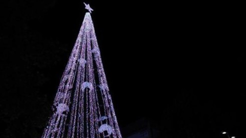 Cây thông Noel lập kỷ lục Guinness với hơn 500.000 bóng đèn 