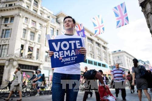 Người dân Anh đi bỏ phiếu về tương lai mối quan hệ với EU