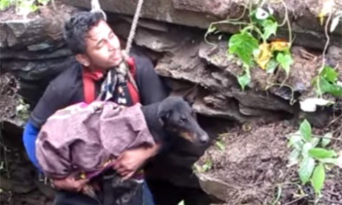 Chú chó khóc khi được giải cứu khỏi giếng sâu 15 m 