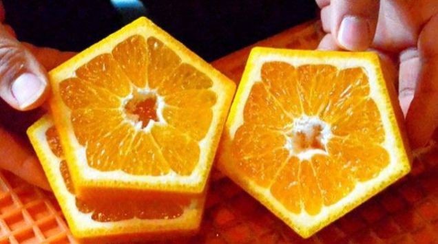 Mùi vị của loại cam này không khác những quả cam thường nhưng điều đặc biệt nằm ở hình dáng của chúng.