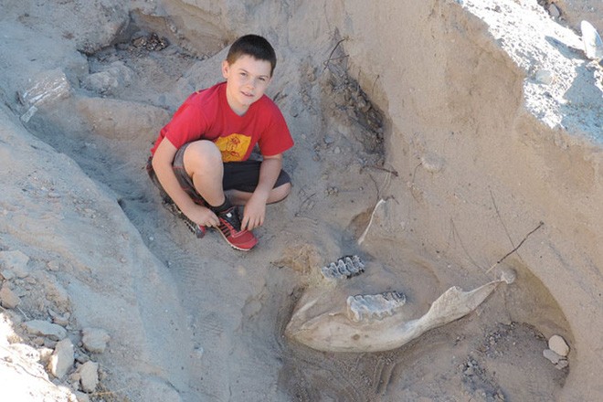 Jude Sparks mới lên 9 tuổi nhưng đã có cuộc phát hiện khiến các nhà khảo cổ phải ghen tị.