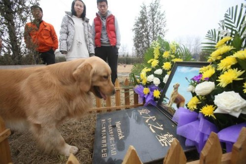 Nhiều người Trung Quốc sẵn sàng trả số tiền lớn để chôn cất thú cưng