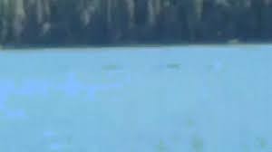 Nhân viên kiểm lâm phát hiện quái vật “Loch Ness” ở TQ?