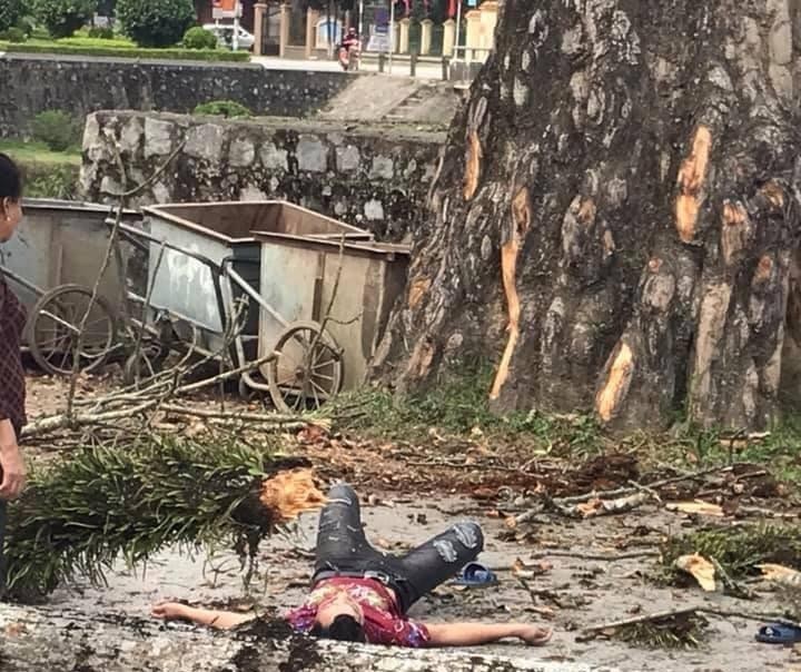 Nam thanh niên đang đi bộ bị cành cây rơi trúng đầu tử vong ở Hà Giang