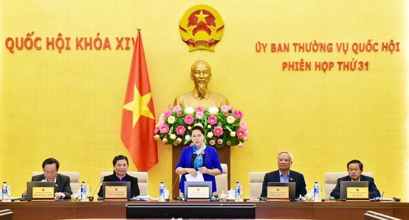 Chủ tịch Quốc hội Nguyễn Thị Kim Ngân phát biểu tại phiên họp Ảnh: Quang Khánh