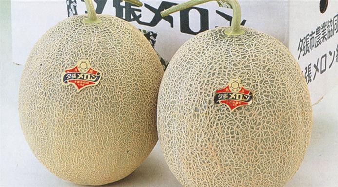 Vì sao quả dưa này ở Nhật Bản có giá tới 500 triệu đồng?