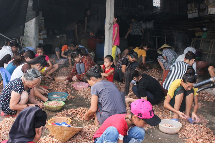 Những đứa trẻ tham gia bóc vỏ tôm kiếm tiền tại cơ sở chế biến tôm nõn phường Nghi Thủy, Cửa Lò, Nghệ An.