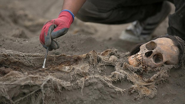 Các nhà khảo cổ đang kiểm tra một hài cốt được tìm thấy trong ngôi mộ tập thể.