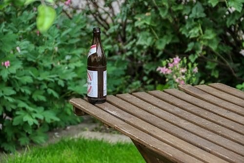 Đừng vội vứt chai bia đã hết hạn, hãy dùng để tưới cây cảnh (hình minh họa)