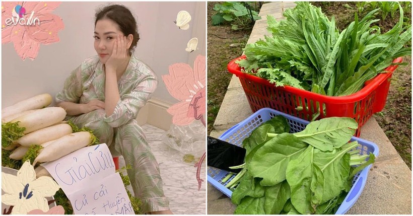 Hoa hậu một con bí ẩn nhất Việt Nam, ở biệt thự rộng lớn, rau trồng ăn không xuể